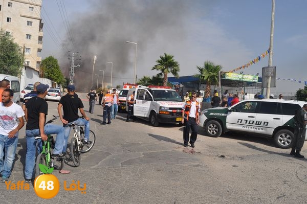 fireludkartoonmasna34 (36).JPG